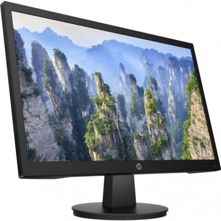 Ecran PC - HP V22 - 22 FHD - Dalle TN - 5 ms - 60 Hz - HDMI - VGA