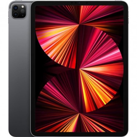 Apple - iPad Pro (2021) - 11'' - WiFi - 2 To - Gris Sidéral