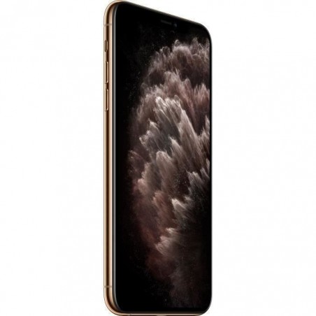 APPLE iPhone 11 Pro Max 256 Go Or - Reconditionné - Très bon état