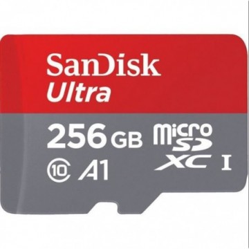 Sandisk ultra 256 Go Carte...