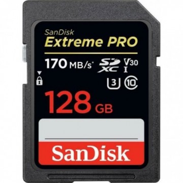 SANDISK Carte mémoire flash...