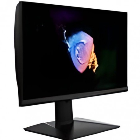 Ecran PC Gamer - MSI - Oculux NXG253R - 25 FHD - Dalle IPS - 1 MS - 360 Hz - Gsync, Pied réglable -