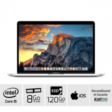 MACBOOK PRO 13 pouces Gris...