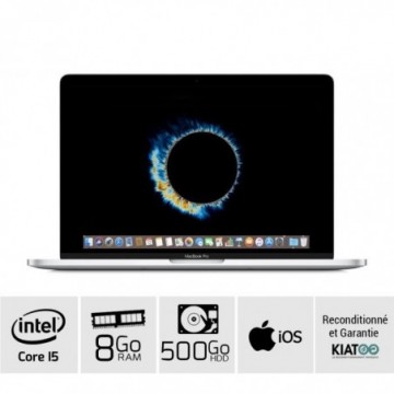 MACBOOK PRO 13 pouces Gris...