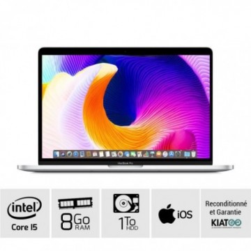 MACBOOK PRO 13 pouces Gris...