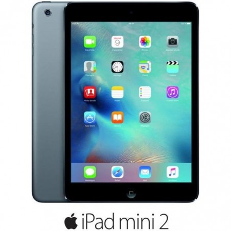 Apple iPad Mini 2 Wi-Fi 16Go Gris Sidéral