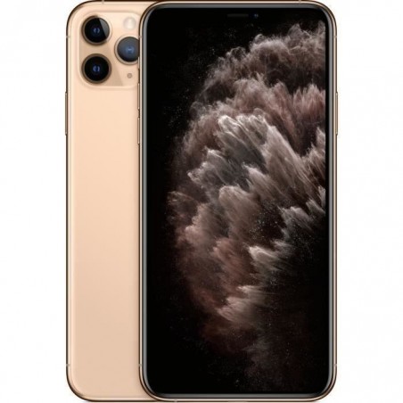 APPLE iPhone 11 Pro Max 64 Go Or - Reconditionné - Etat correct