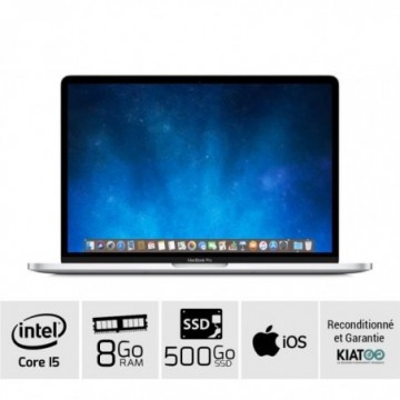 MACBOOK PRO 13 pouces Gris...