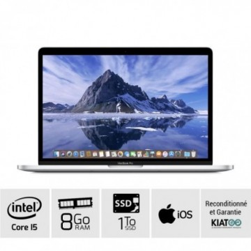 MACBOOK PRO 13 pouces Gris...