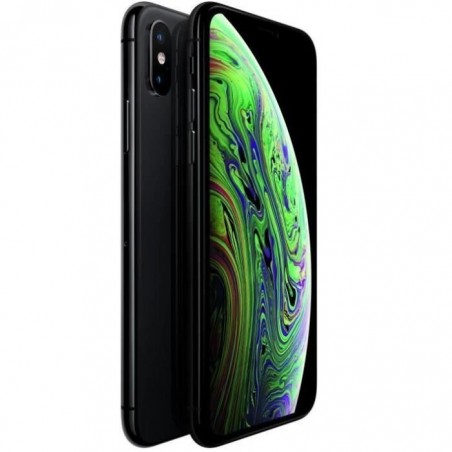 APPLE Iphone Xs 256 Go Gris sidéral - Reconditionné - Comme neuf