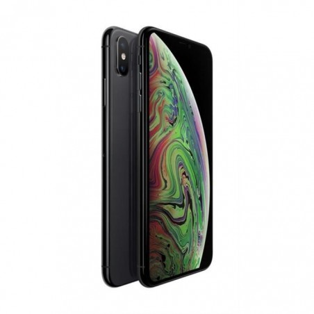 APPLE Iphone Xs Max 256 Go Gris sidéral - Reconditionné - Etat correct